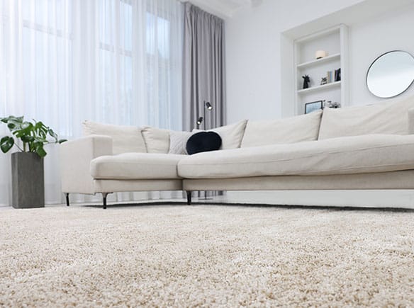 Screenshot 2026-02-04 021630_0001_AdobeStock_647889207